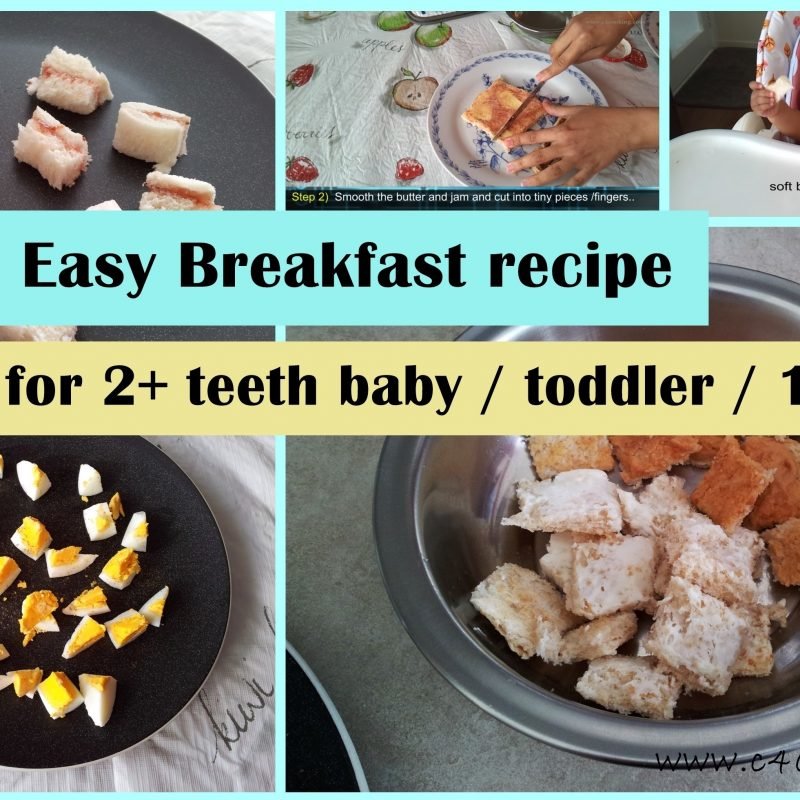 10-lovable-breakfast-ideas-for-one-year-old-2024