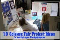 10 science fair project ideas - hodgepodge