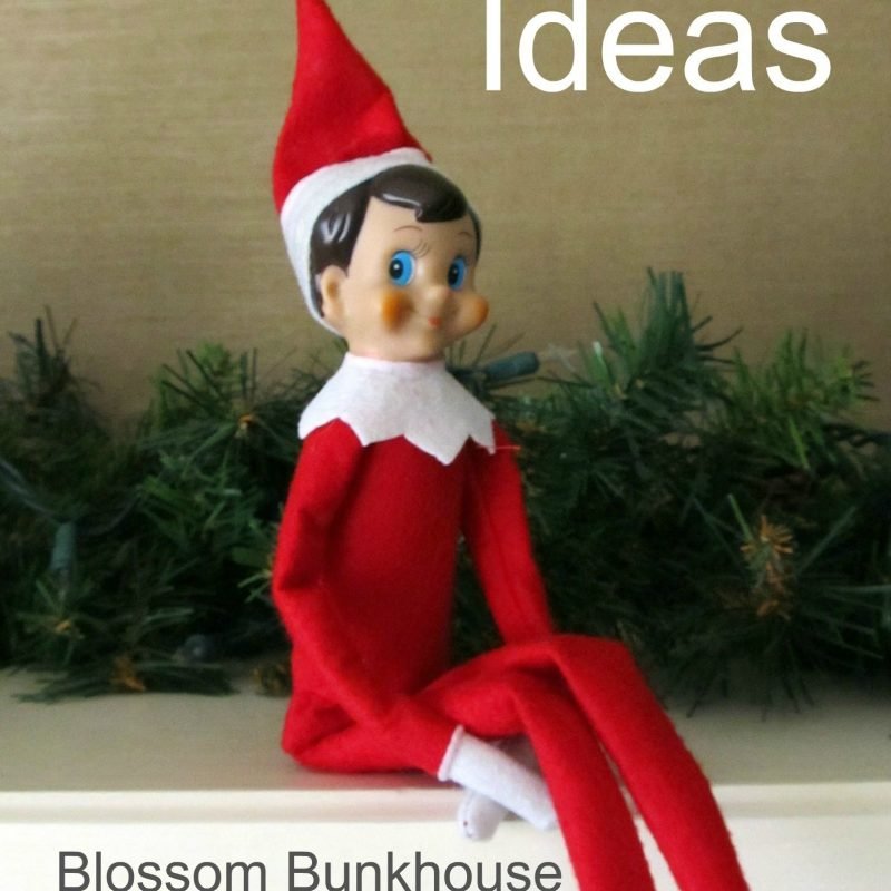 10 Stylish 101 Elf On The Shelf Ideas 2024