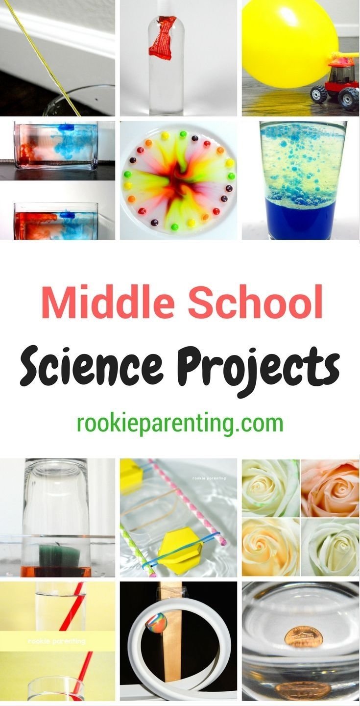 10 Wonderful Stem Project Ideas For Middle School 2024