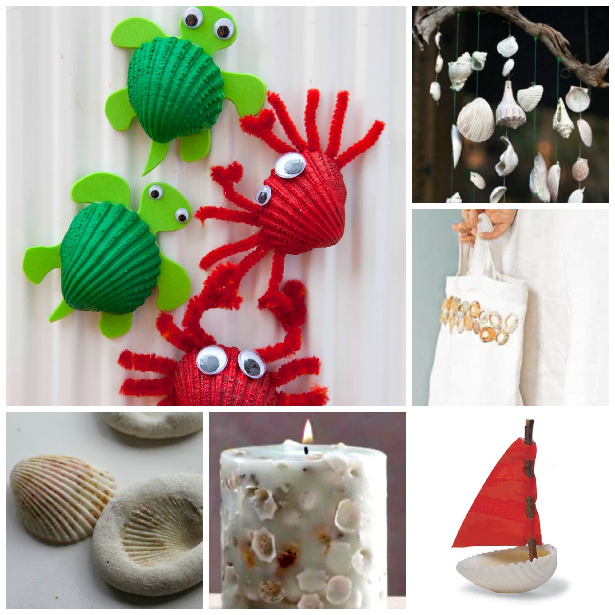 37 Sea Shell Craft Ideas Red Ted Arts Blog 
