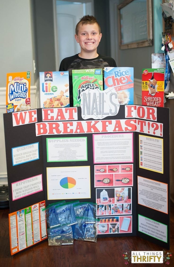 10 Spectacular Science Fair Project Ideas For Kids In 4Th Grade 2024