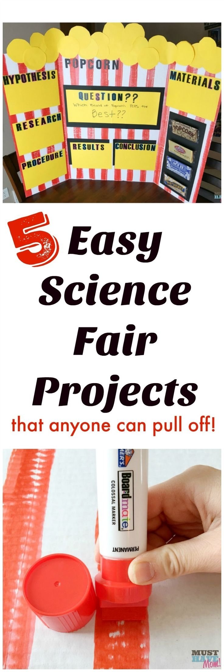 10 Trendy Physical Science Science Fair Project Ideas 2024