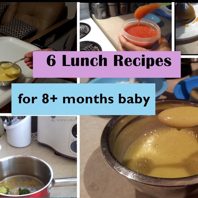 homemade baby food ideas for 8 month old