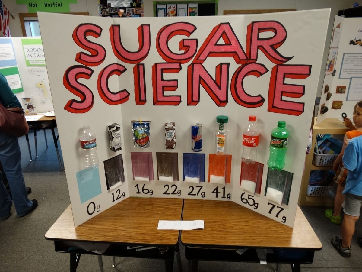 10 Wonderful Science Fair Projects Ideas For 4Th Grade 2024