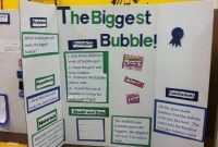 6th grade science project, homework academic service