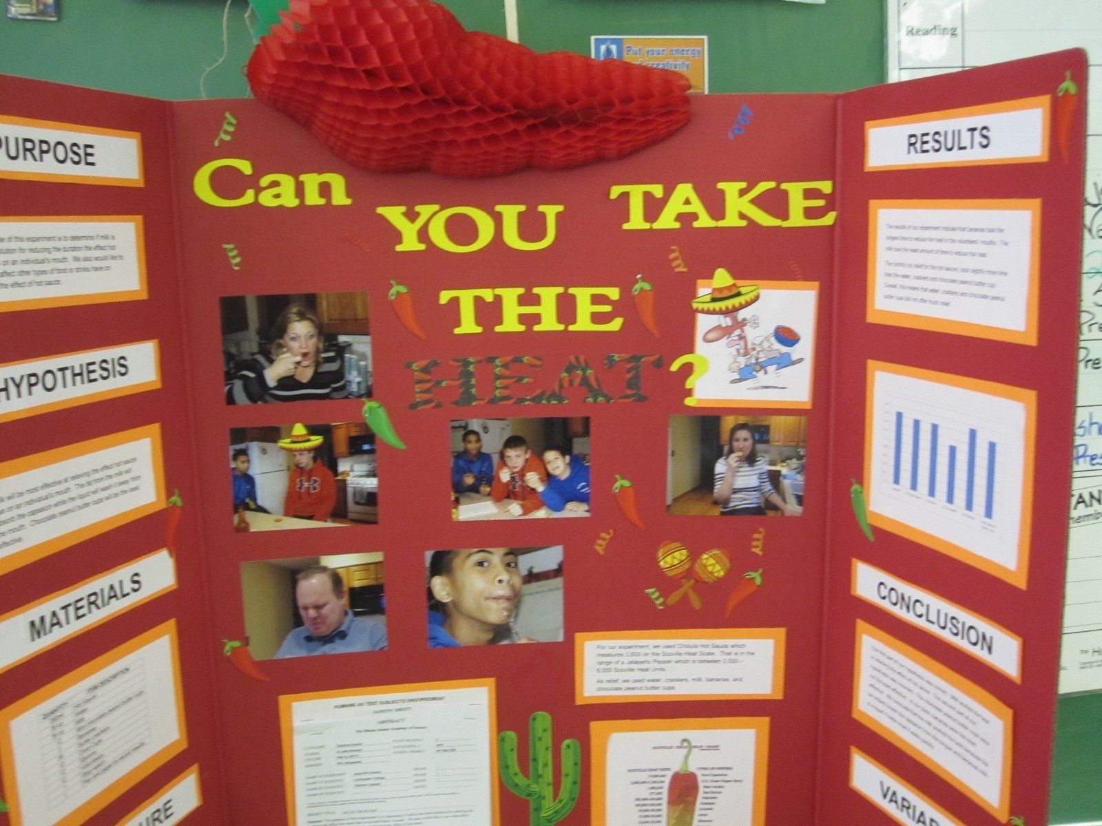 10 Unique Easy 8Th Grade Science Fair Project Ideas 2024