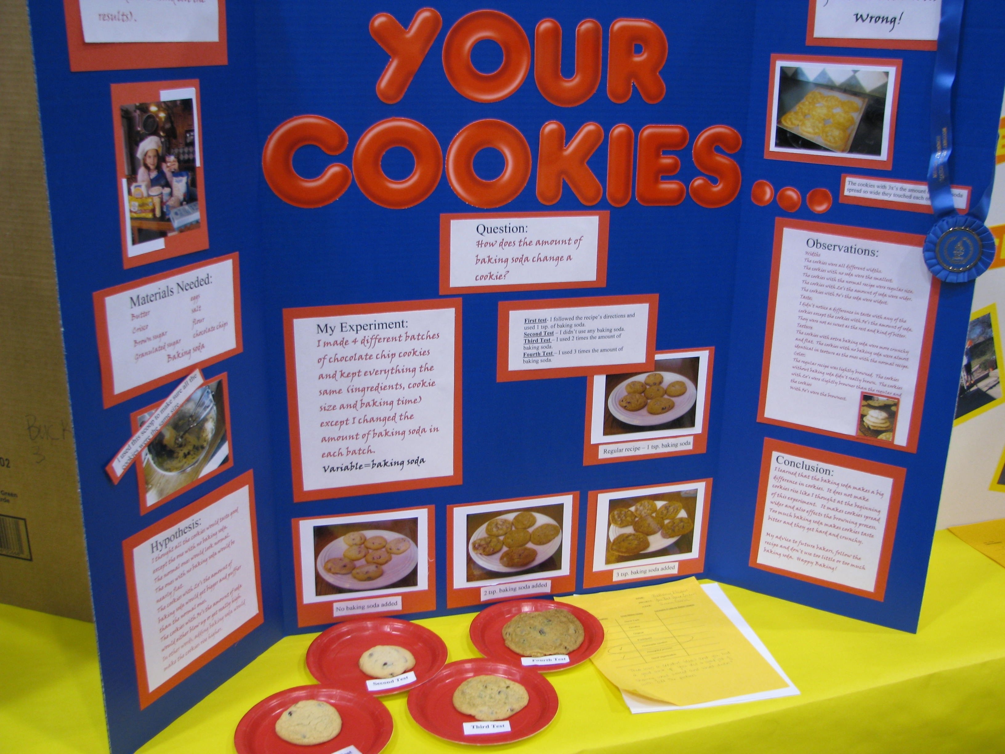 10 Fabulous Science Fair Project Ideas For 6Th Grade 2020