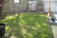 awesome landscaping ideas of dog friendly backyard large pict for