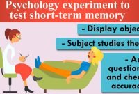 awesome psychology experiment ideas for high school students