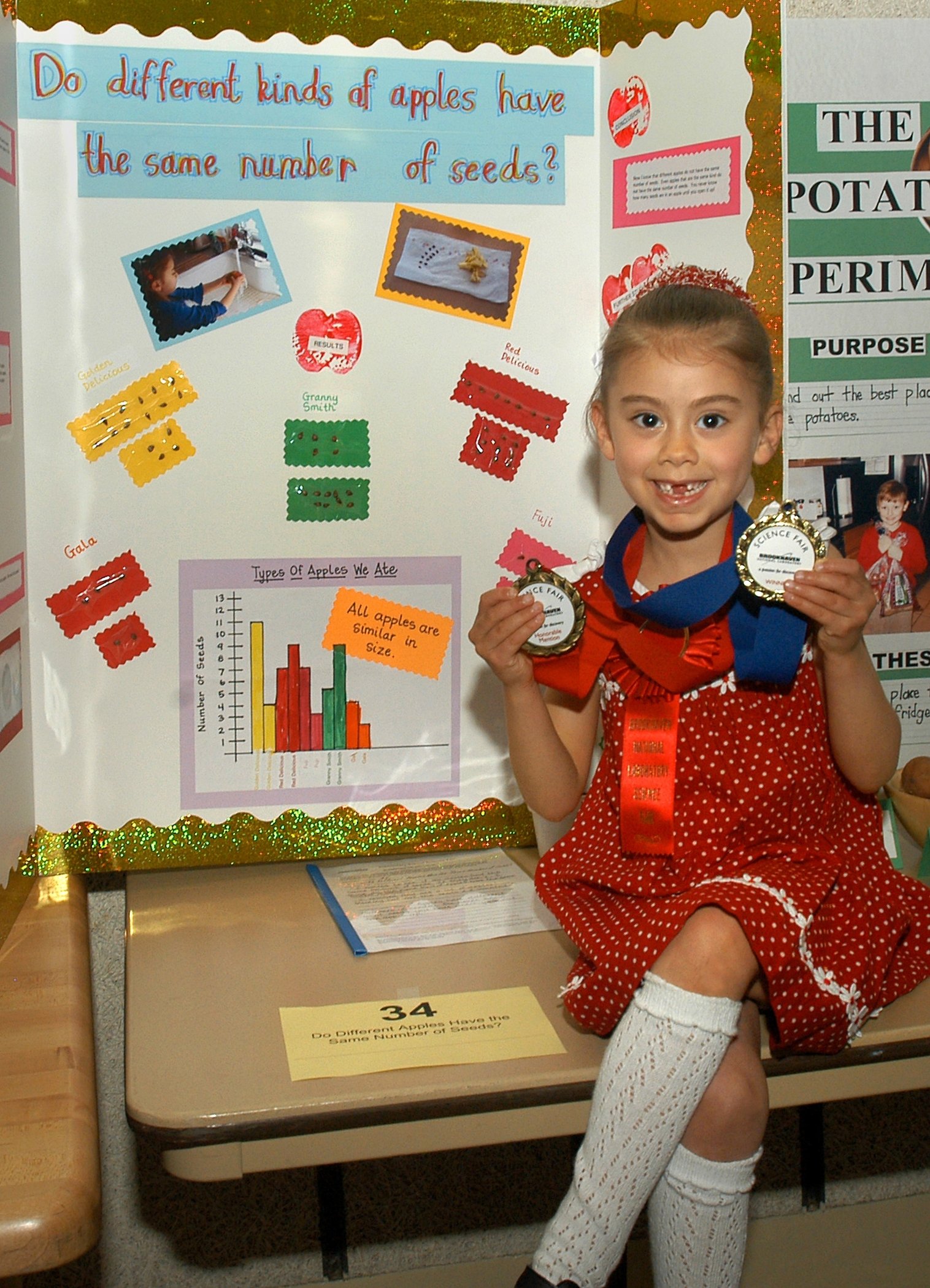 10 Unique Science Fair Ideas For Kindergarten 2023