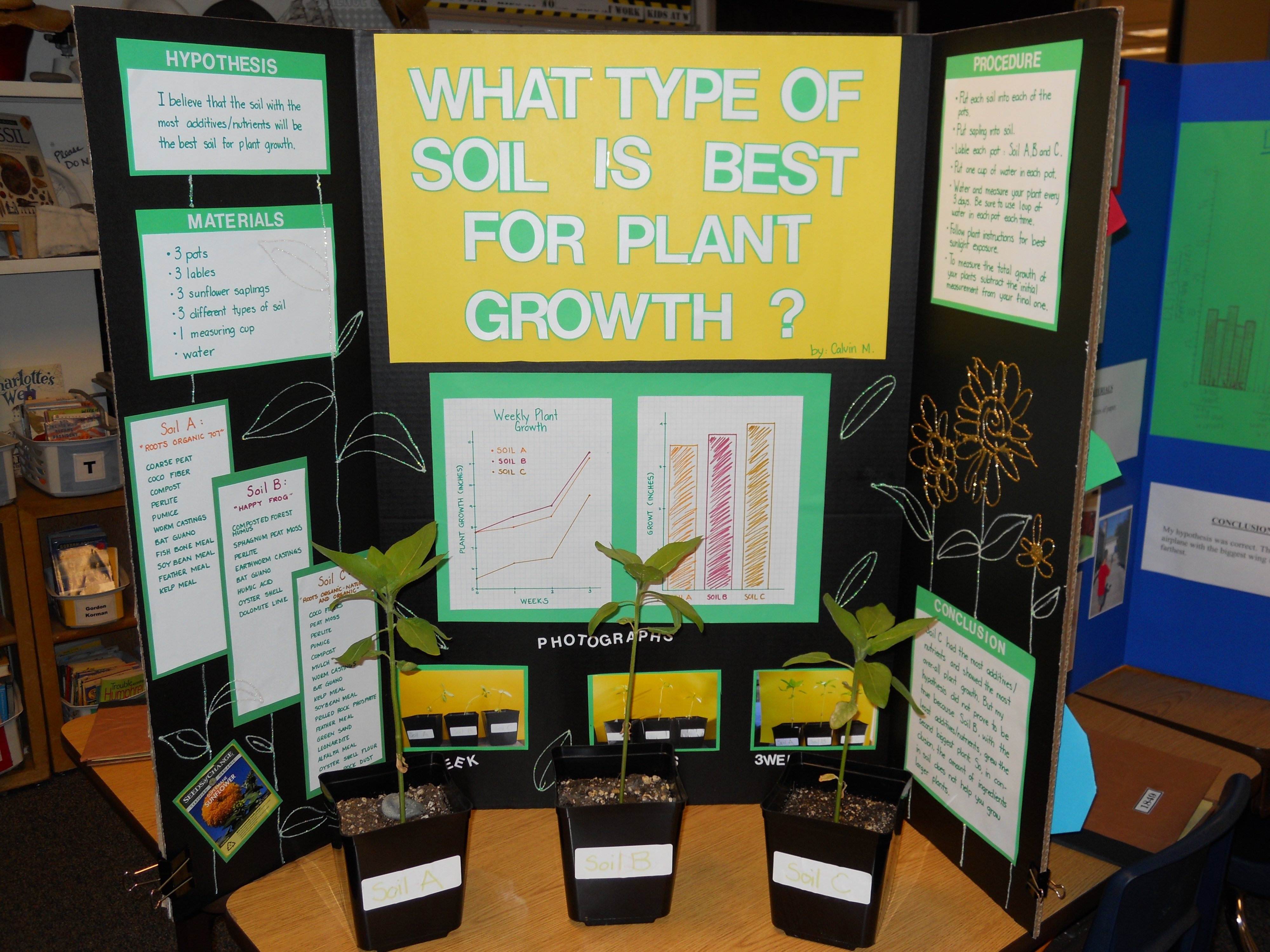 Cool plant science fair projects Idea
