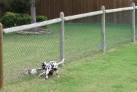 cheap+dog+fence+ideas | free issues of family circle magazine! | dog