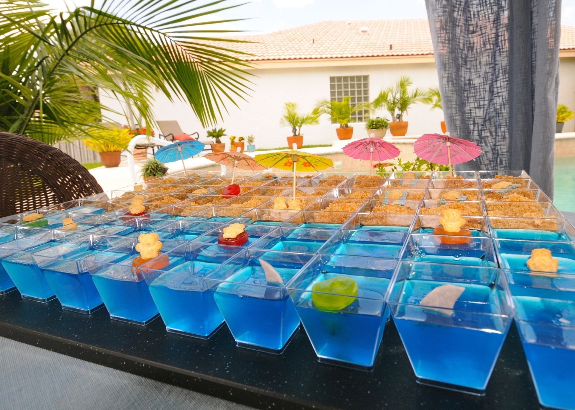 Pool Party Theme Ideas For Adults