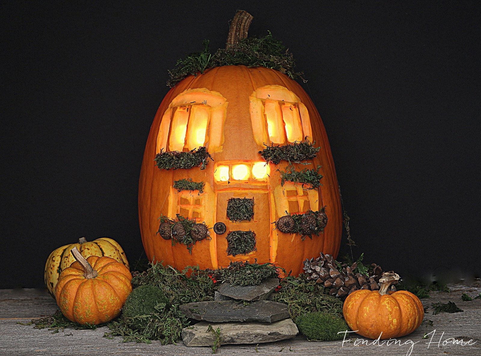 10 Fantastic Cool Ideas For Carving A Pumpkin 2023