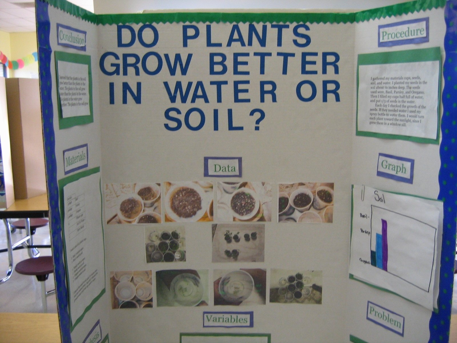 research projects about plants