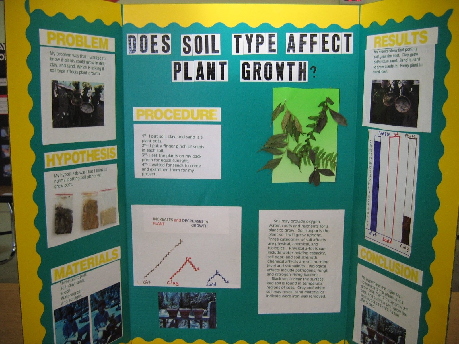 10 Fantastic Plant Science Fair Project Ideas 2023