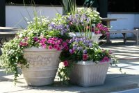 easy flower pot ideas for garden — home designs | lovely flowers and