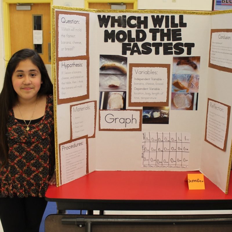 10 Stunning Testable Science Fair Project Ideas 2023