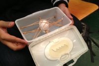 egg suspended rubber bands inside box did not survive foot - tierra