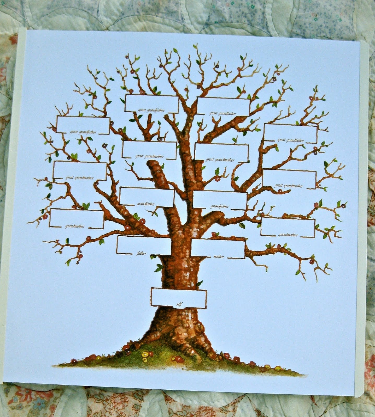 10 Fabulous Family Tree Ideas For School Project 2023