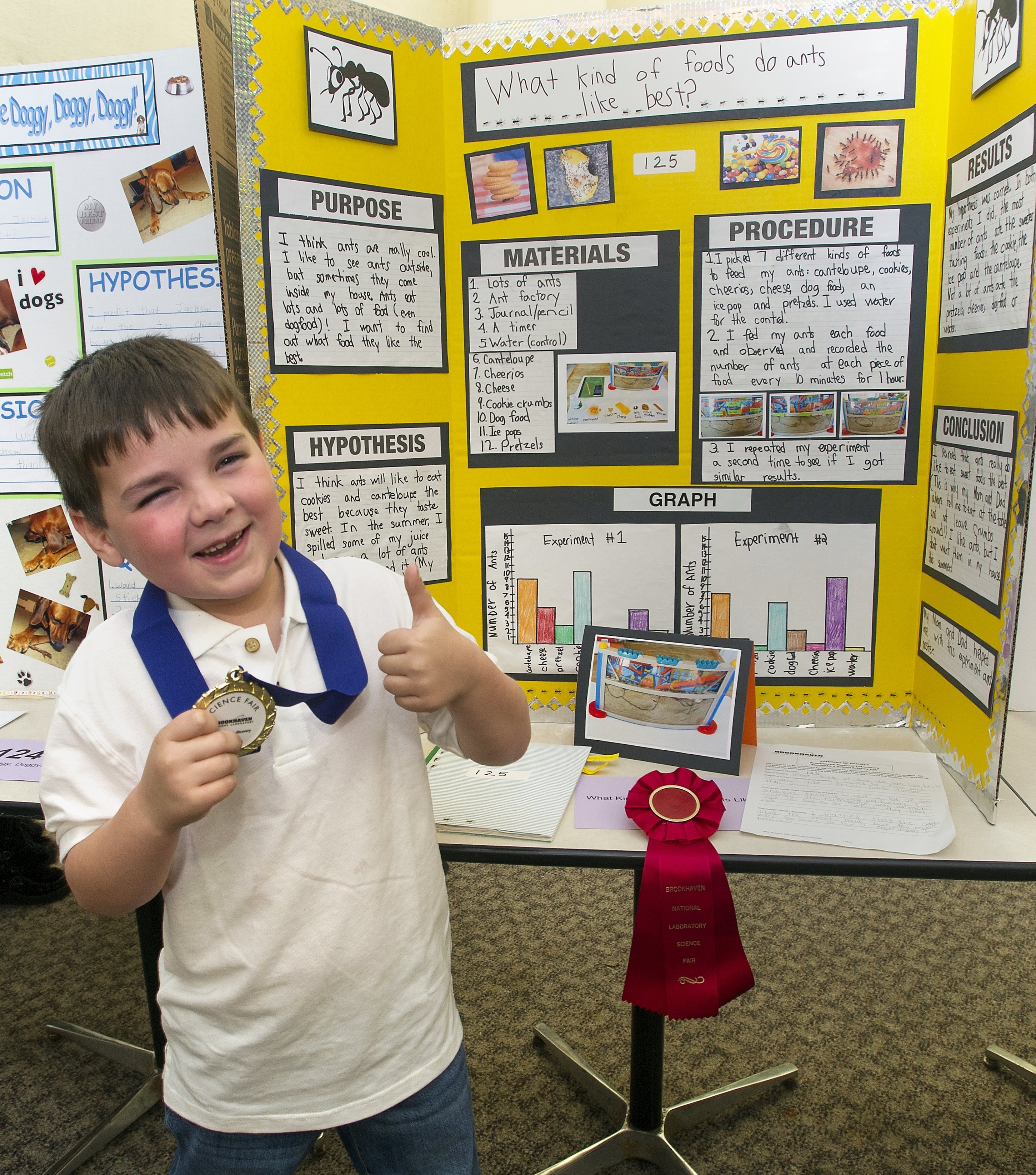 research project for science fair
