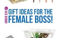 funky gift ideas for a female boss for under $20!