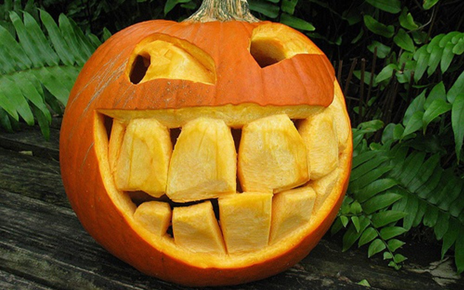 10 Pretty Funny Pumpkin Carving Ideas Easy 2024