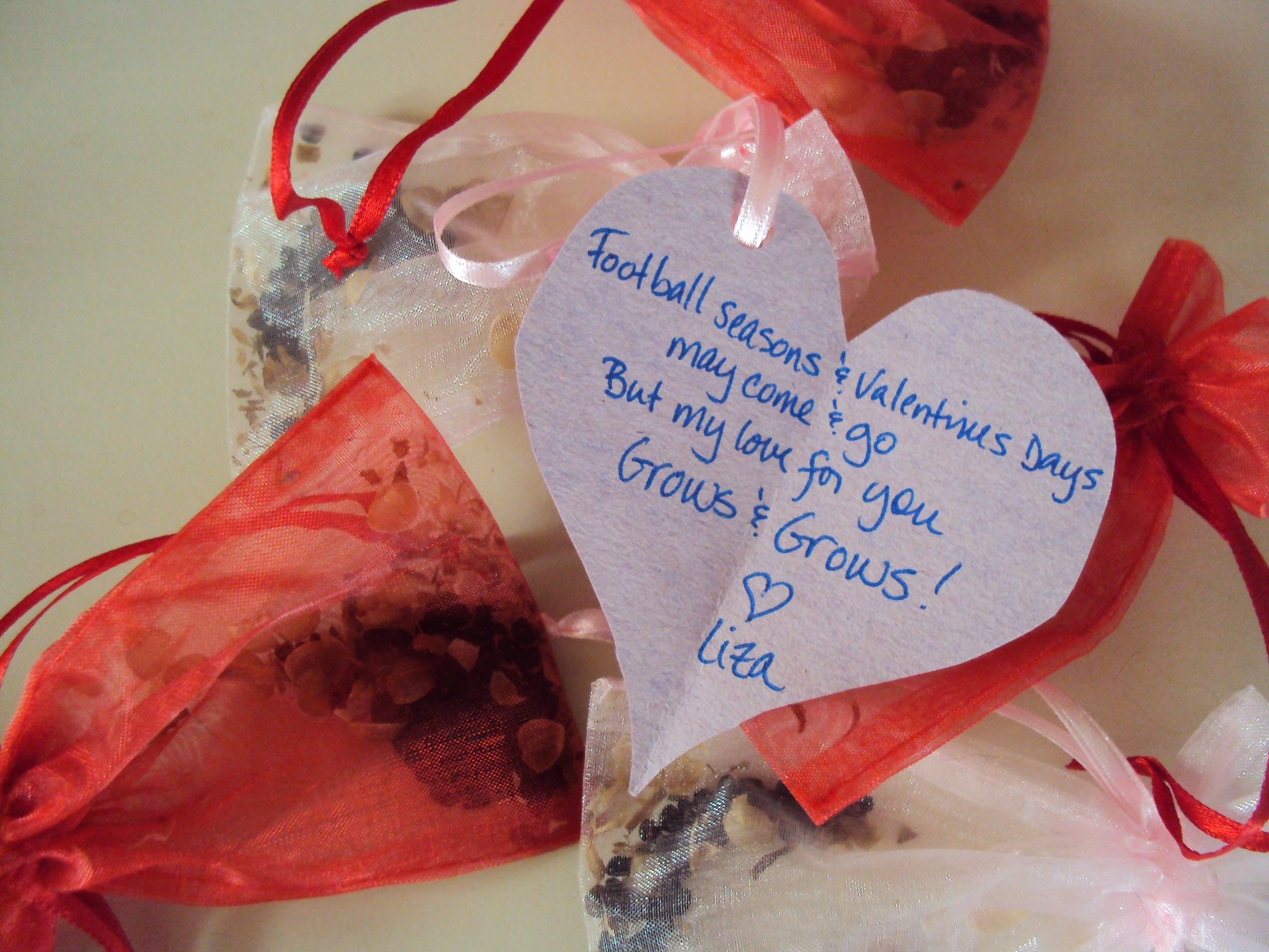 10 Elegant Valentines Day Ideas For Girlfriend 2023