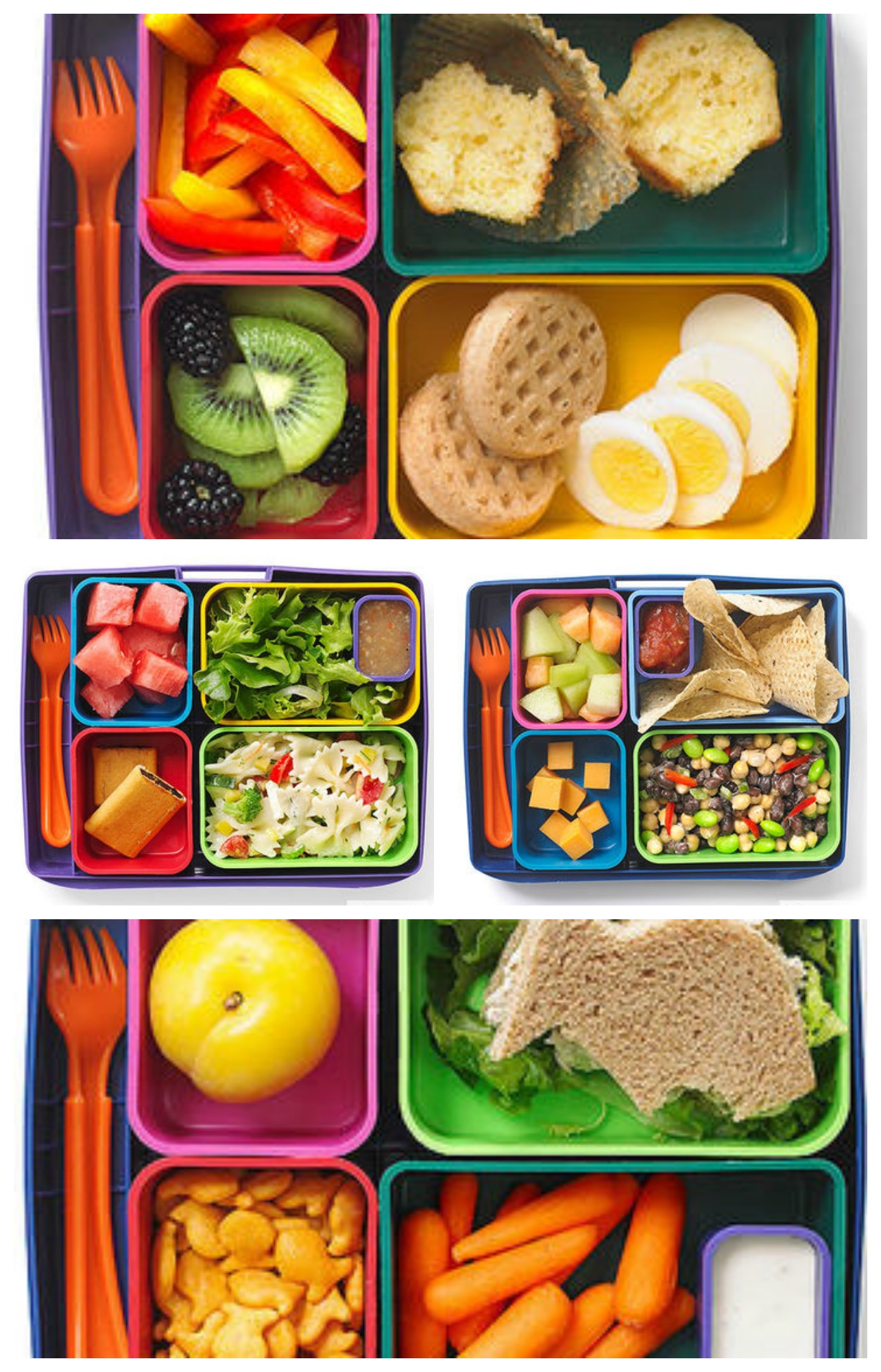 10 Lovely Brown Bag Lunch Ideas For Kids 2024