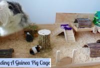 how to build your own wooden guinea pig cage | diy cage - youtube