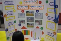 how to do a great elementary science fair project and board layout