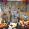 how to train your dragon birthday party | la party | pinterest