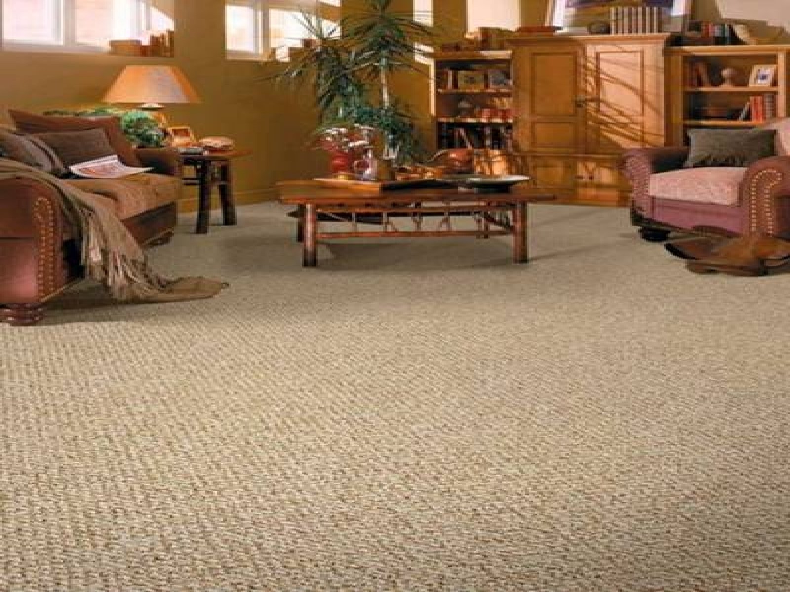 Living Room Wall-To-Wall Carpet Ideas