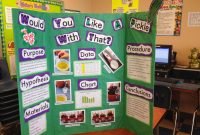 interesting first grade class science fair projects for your fun and