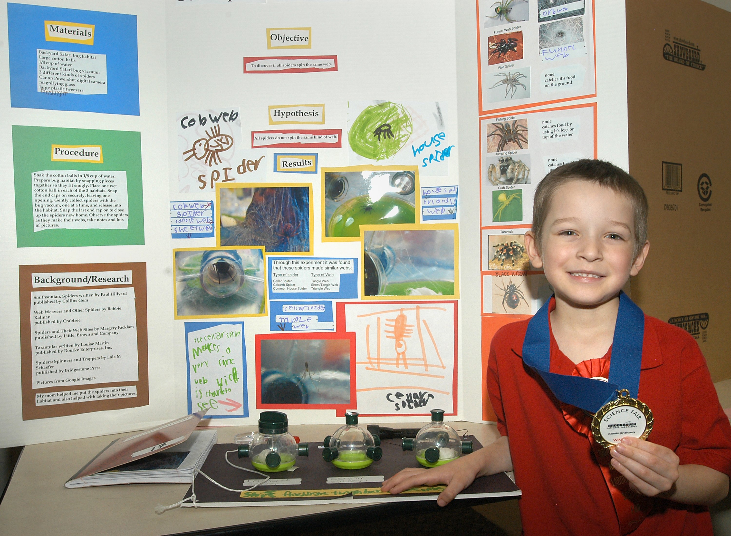 10 Stunning Science Fair Project Ideas For Kindergarten 2024