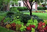 landscape ideas for front of house shade with beautiful plants