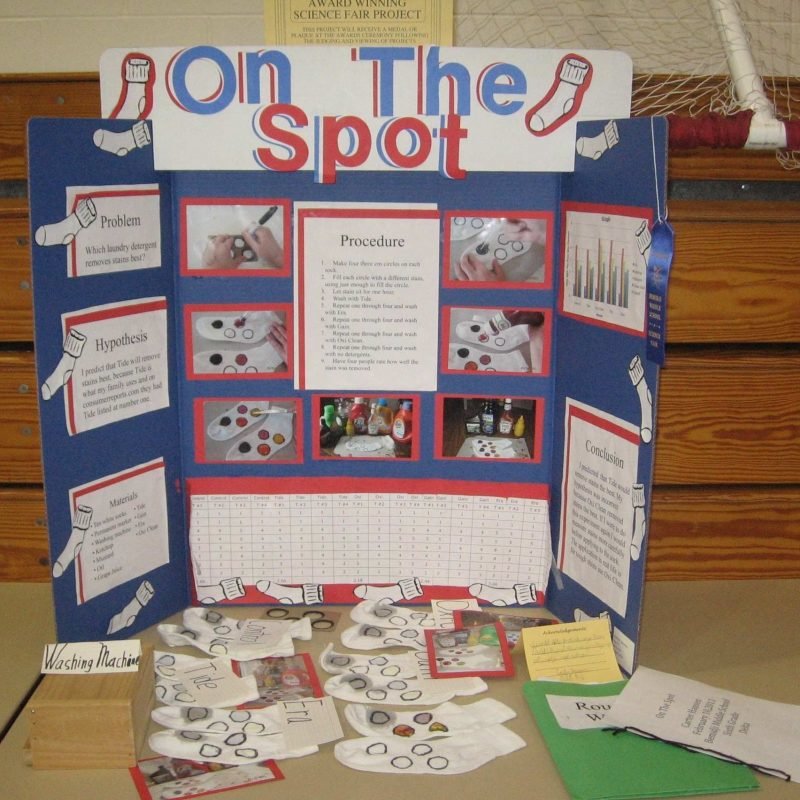 10 Amazing Ideas For Science Fair Project 2024