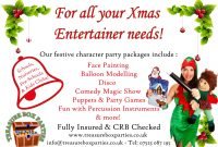 nursery christmas party entertainment - childrens entertainer