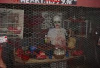 our 2010 haunted house with ideas from instructables