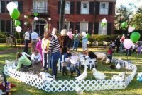 petting zoo parties | farm birthday party | pinterest | petting zoo