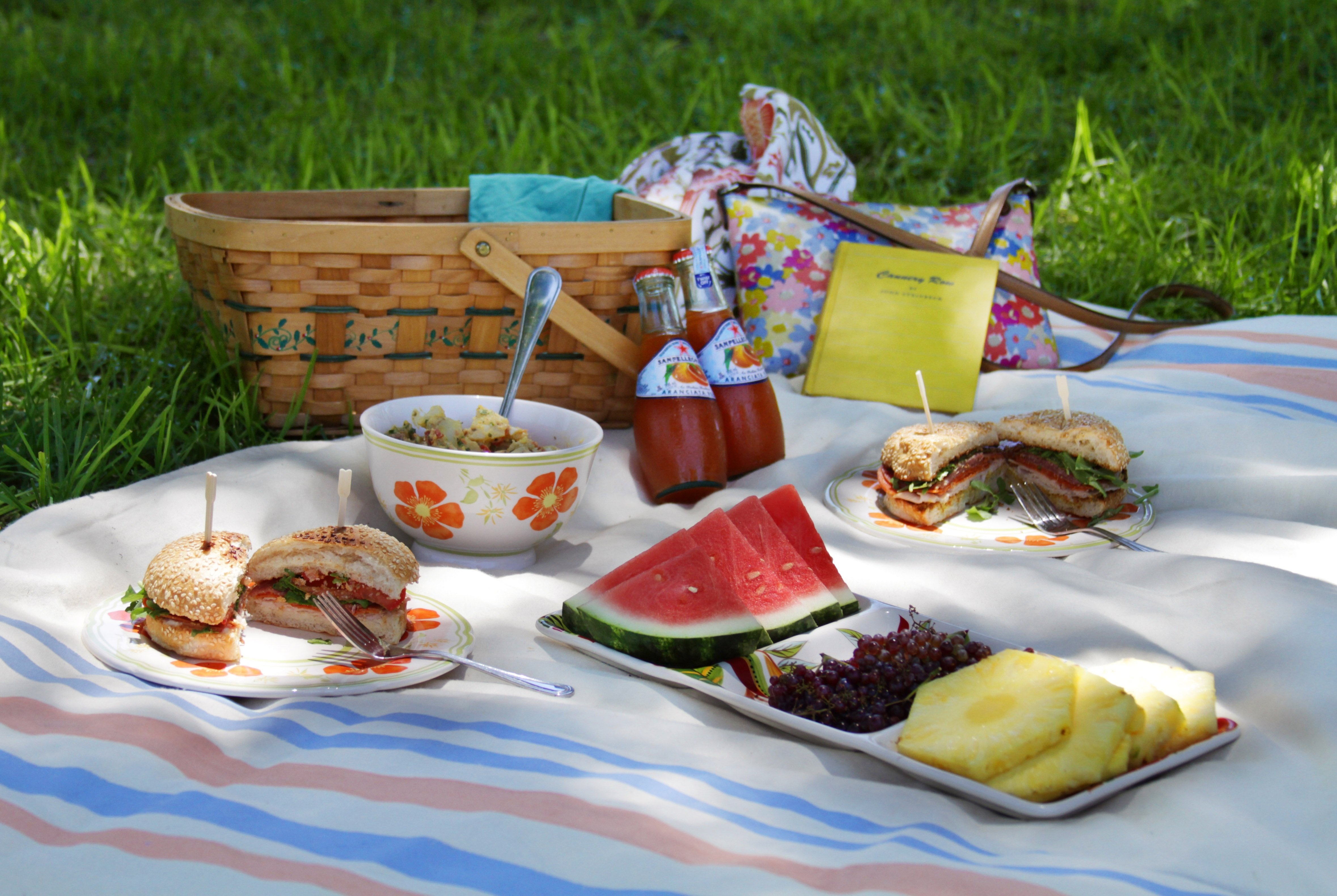 10 Unique Picnic Food Ideas For A Date 2024