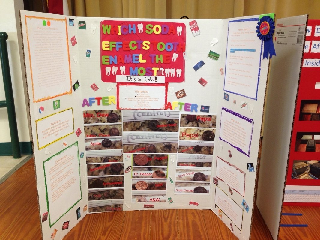 10 Cute Science Fair Project Ideas 5Th Grade 2024