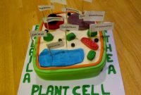 plant cell. biology homework. | diy &amp; crafts that i love | pinterest