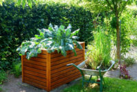 raised bed gardens and small plot gardening tips | the old farmer's