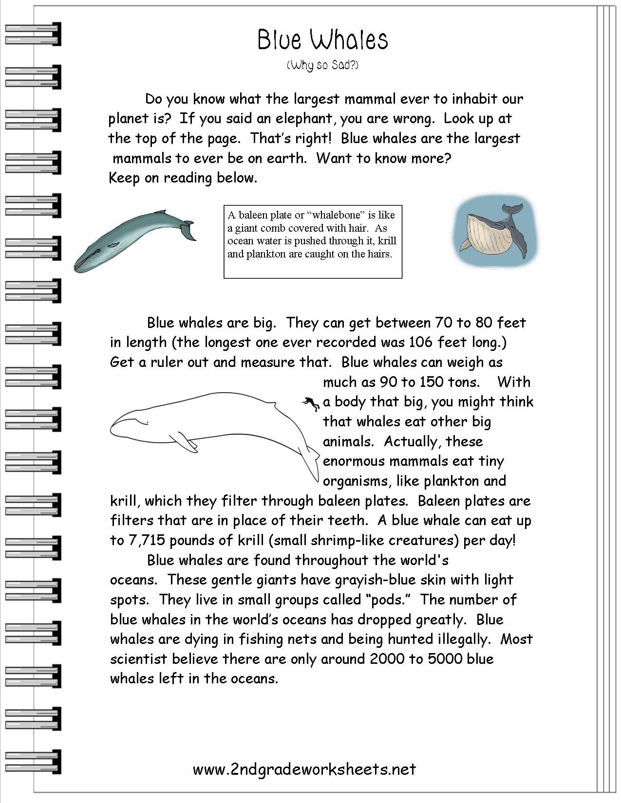 10 Attractive Main Idea Passages 2Nd Grade 2024