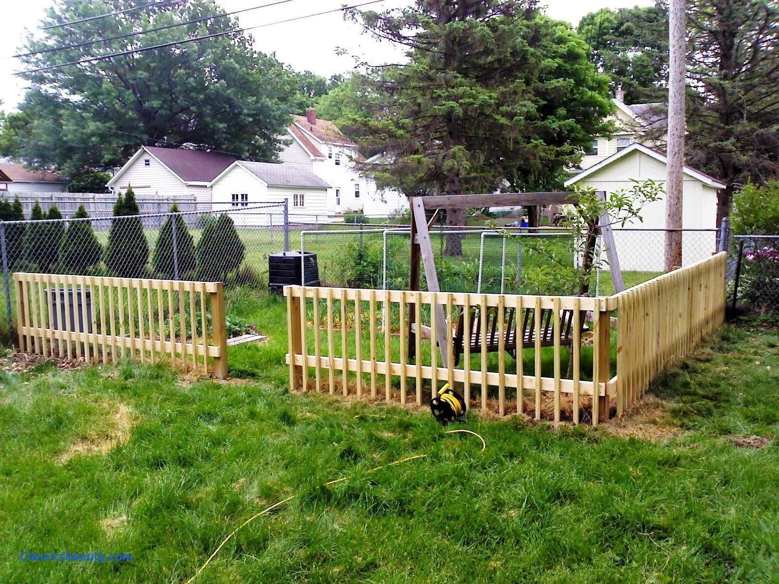 10 Stylish Cheap Fencing Ideas For Dogs 2024