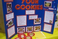 science fair information | science fair, fair projects and science