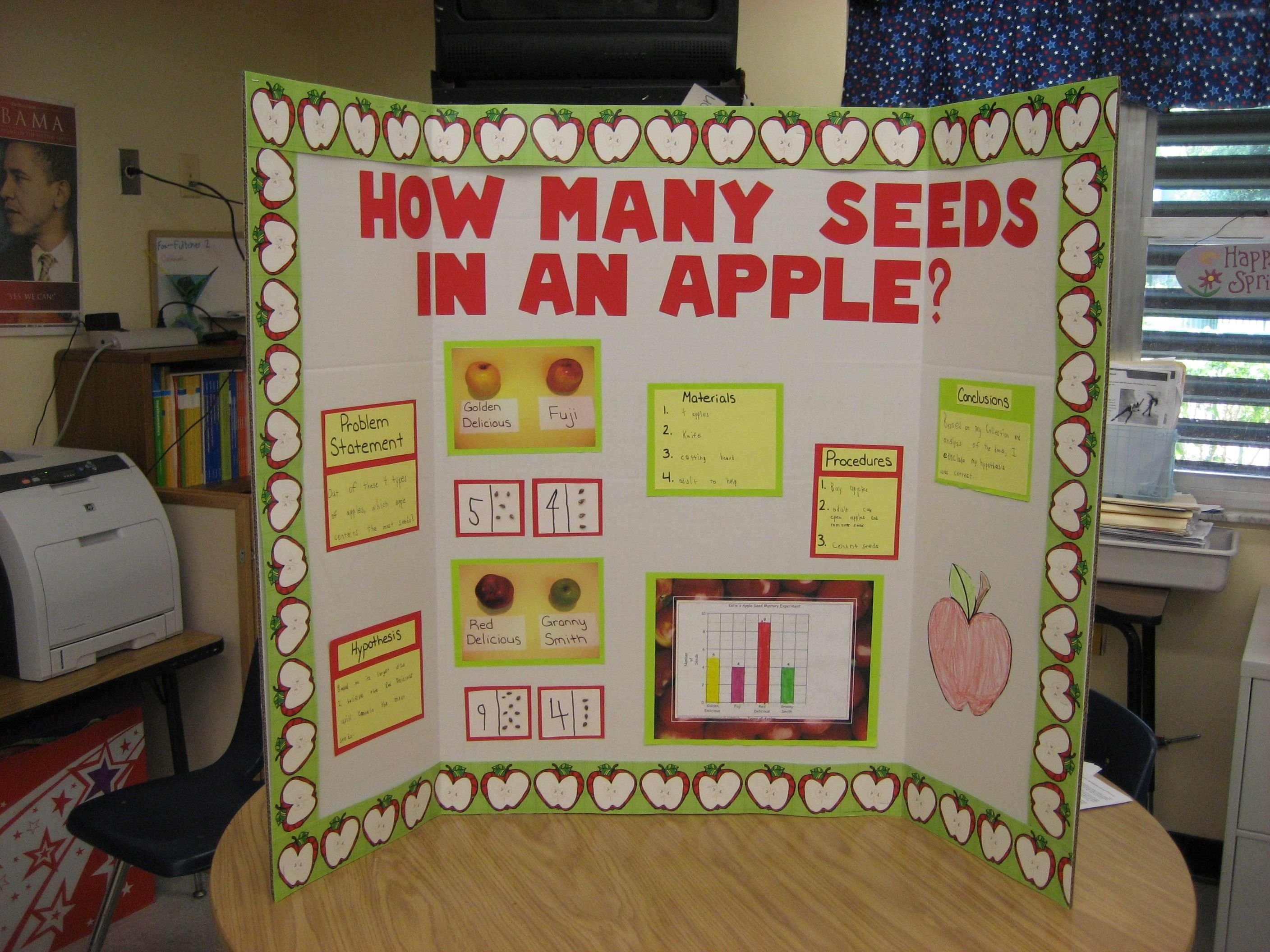 10 Unique Science Fair Ideas For Kindergarten 2023