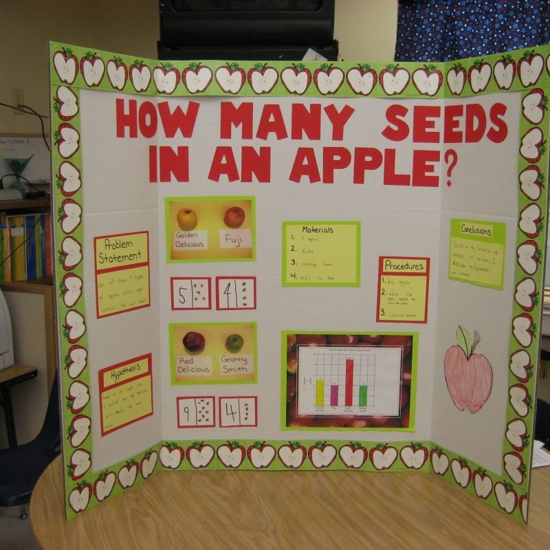 10 Stunning Science Fair Project Ideas For Kindergarten 2024